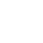 AI Strategy and Architecture